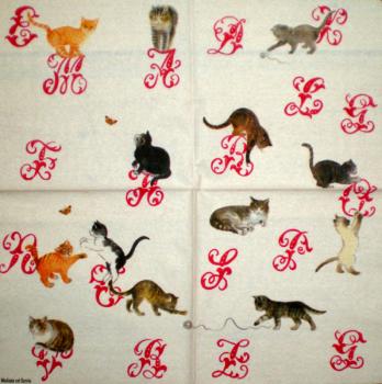 109 Katzen - 3-lagig - Madame est Servie